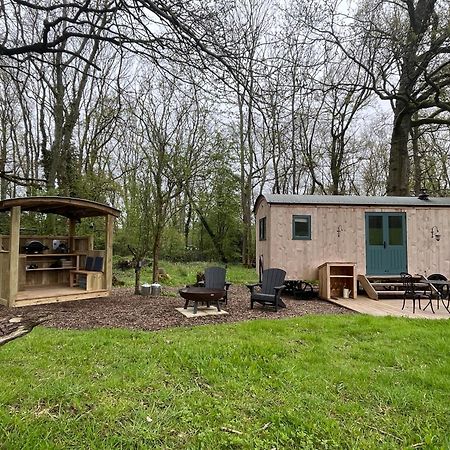 Coachroad Shepherds Huts Petworth Exteriör bild