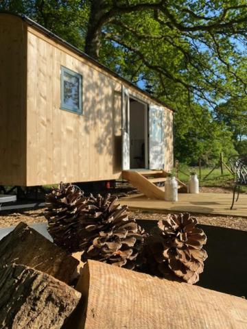 Coachroad Shepherds Huts Petworth Exteriör bild